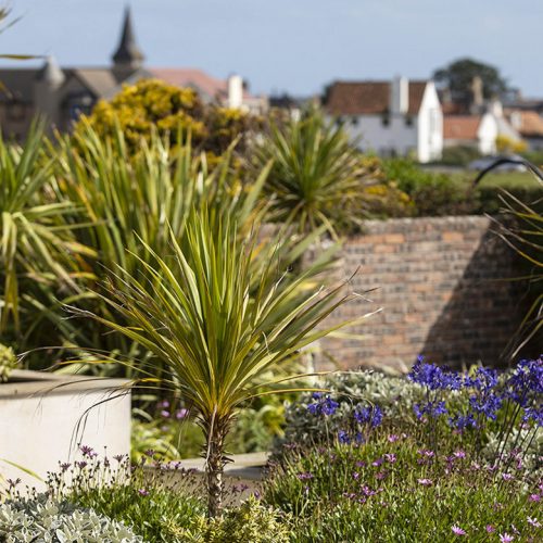 Coastal Garden, Elie